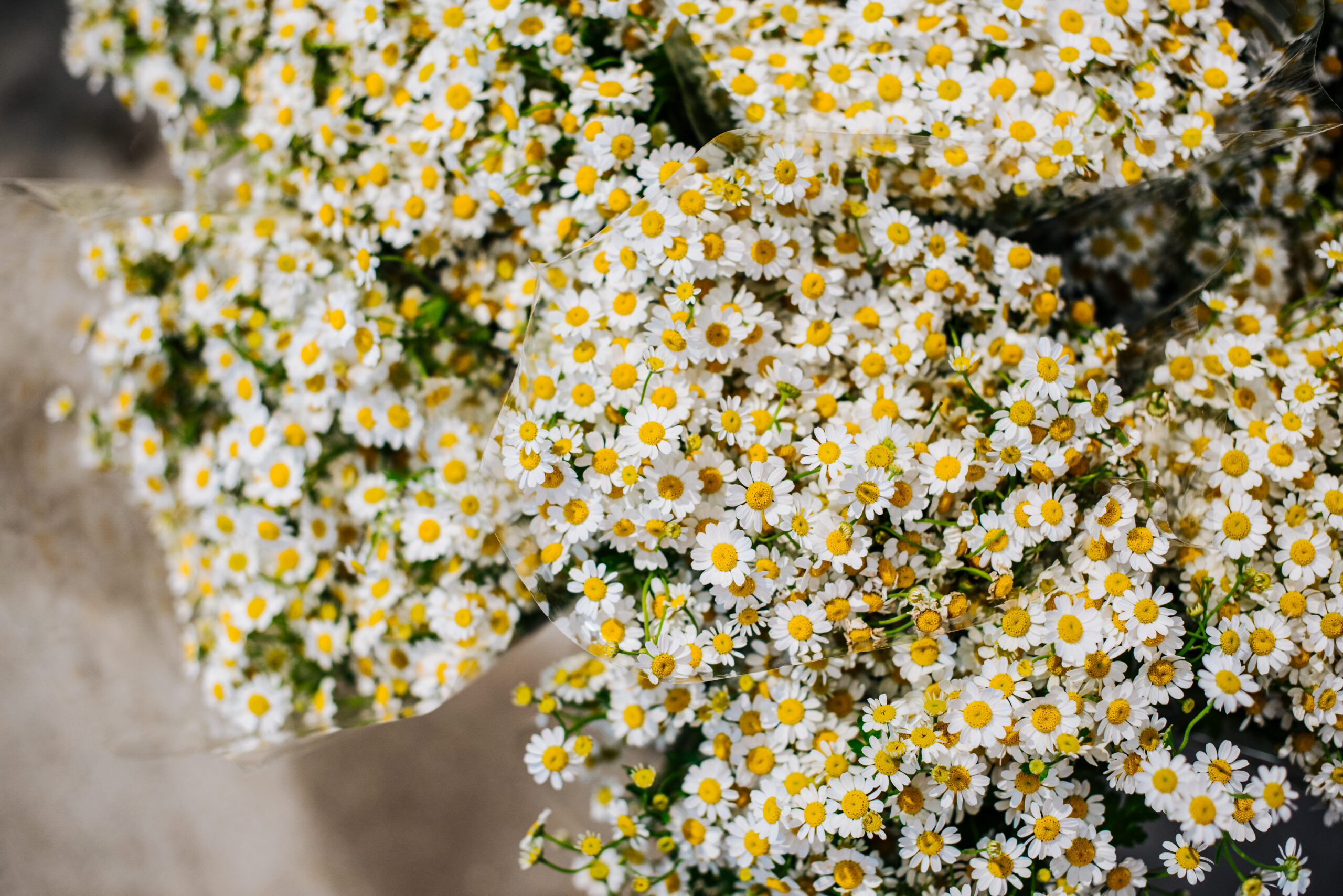 Mother's Day Flowers from Mayfarm Flowers